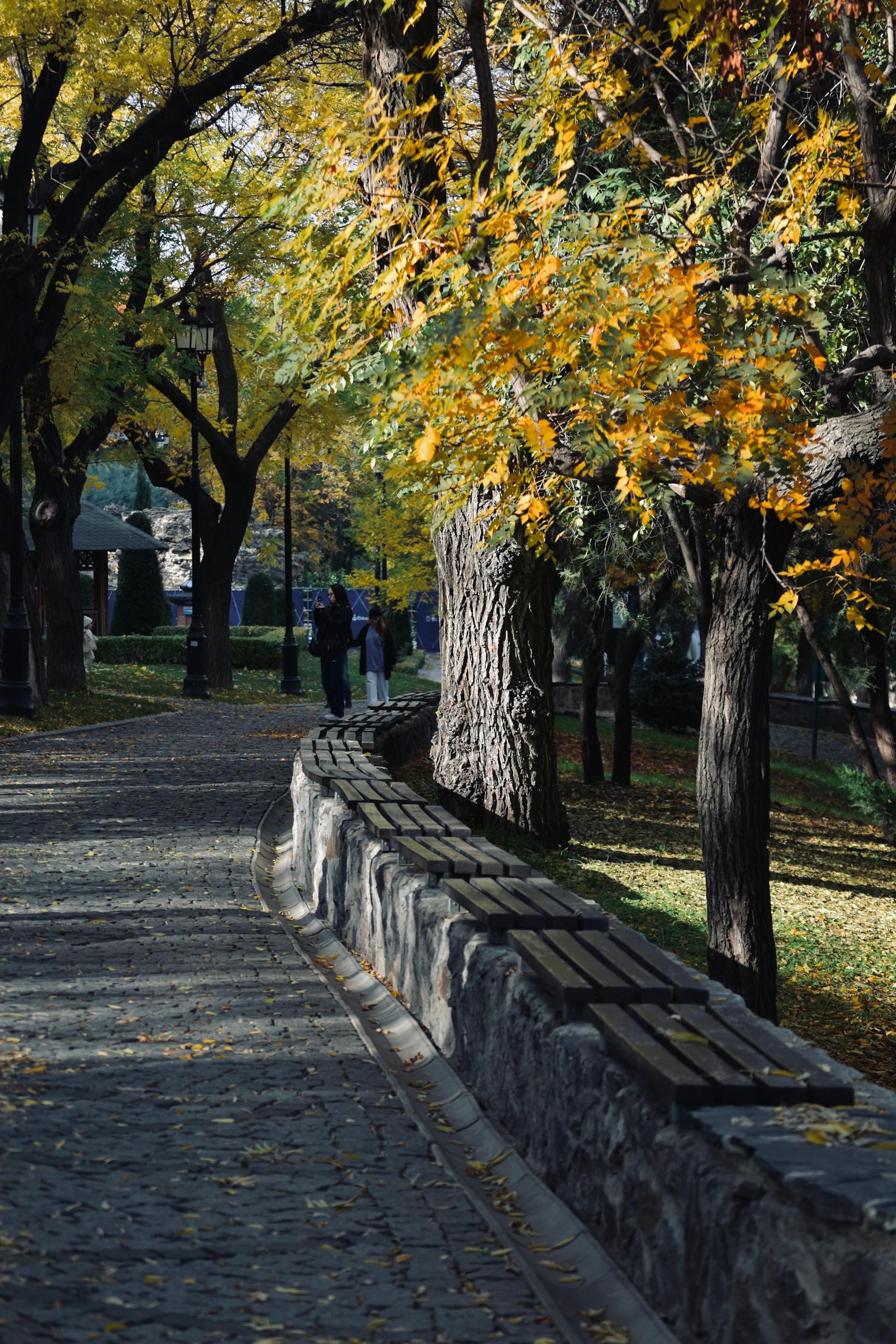 Serene autumn pathway representing the transformative healing journey through Brainspotting therapy